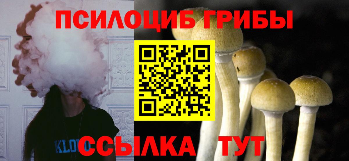Псилоцибиновые грибы GOLDEN TEACHER Чистополь